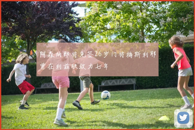 阿森纳即将免签26岁门将梅斯利耶曾在利兹联效力七年
