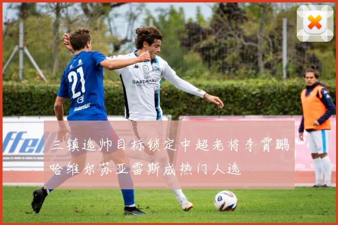 三镇选帅目标锁定中超老将李霄鹏哈维尔苏亚雷斯成热门人选